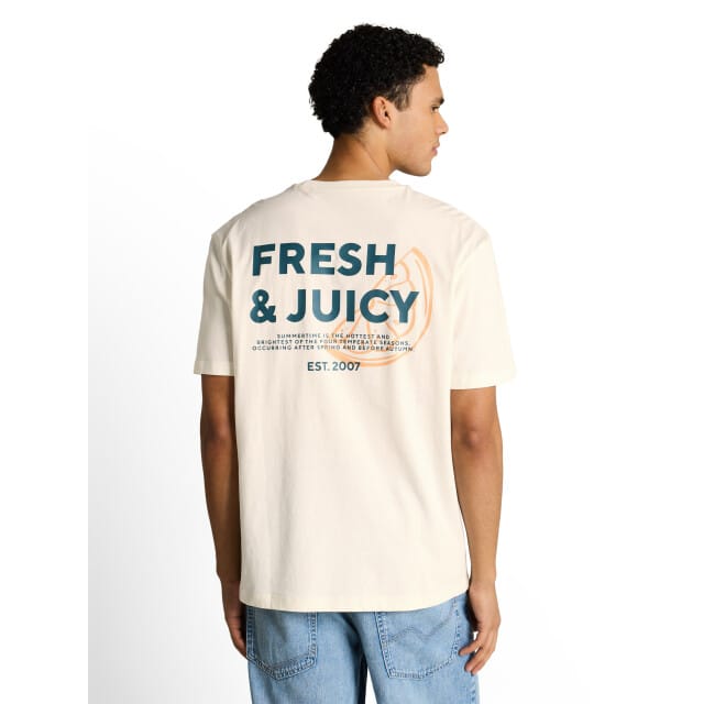 Tom Tailor Denim - T-shirt met relaxte pasvorm en print op de rug - Maat L - Wool White
