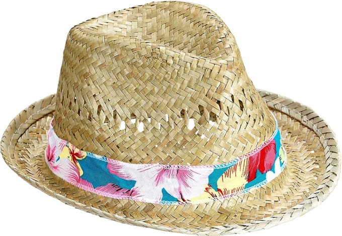 Hoed Fedora Beach Boys