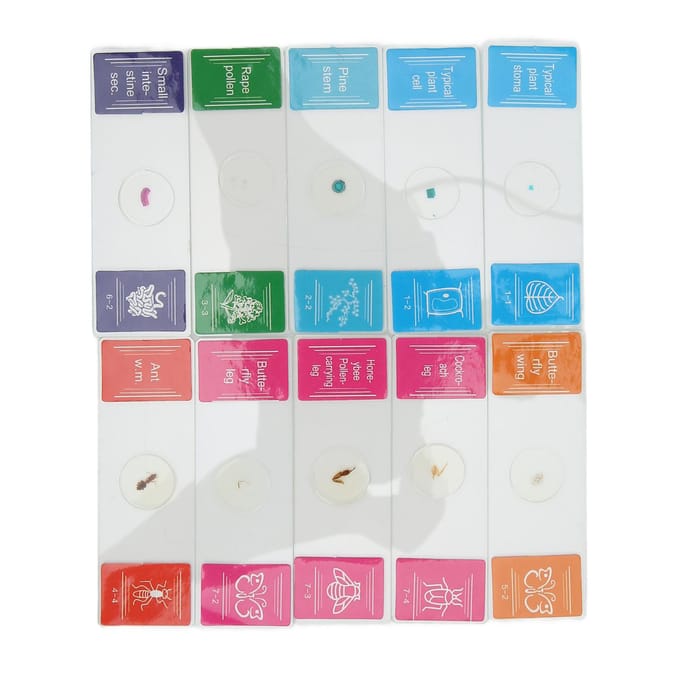 10 stuks Microscoopplaatje Biologisch Plaatje Specimen Geslepen Rand Zeer Transparant voor Kinderen en beige