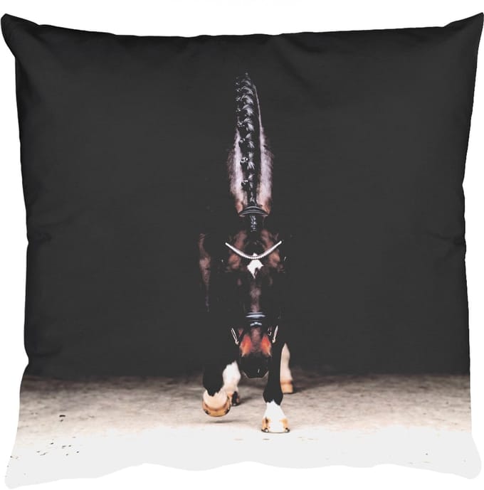 Sierkussens - Kussentjes Woonkamer - 60x60 cm - Paard - Modern - Portret