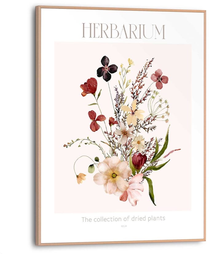 Schilderij Herbarium - 40 x 30 - Hout - REINDERS