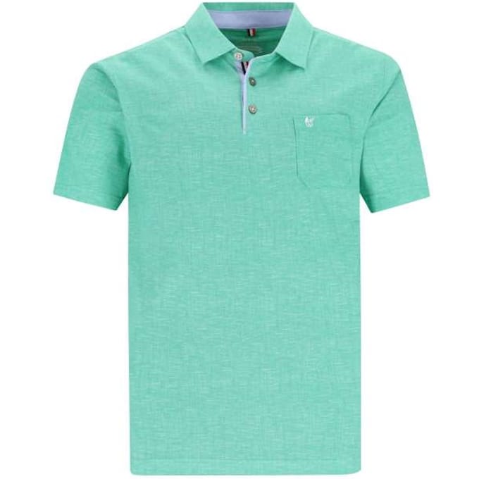 hajo polo