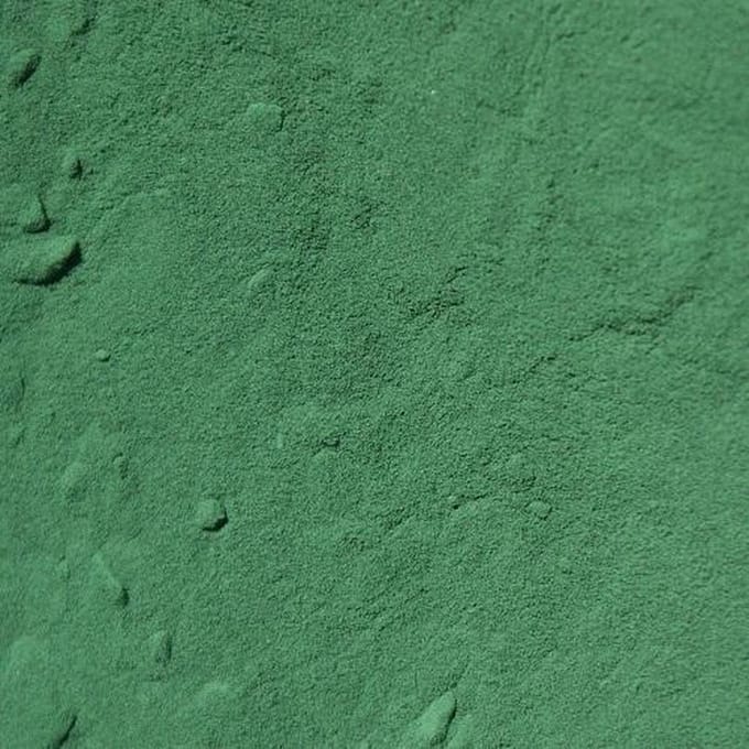 Spirulina Poeder (100ml)