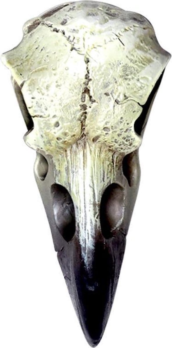 Alchemy - Reliquary Raven Skull Beeld/figuur - Creme