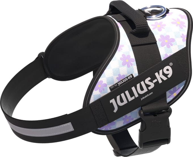 Julius-K9 IDC Powertuig - Hondentuig - XL - Maat 2 - Cartoon
