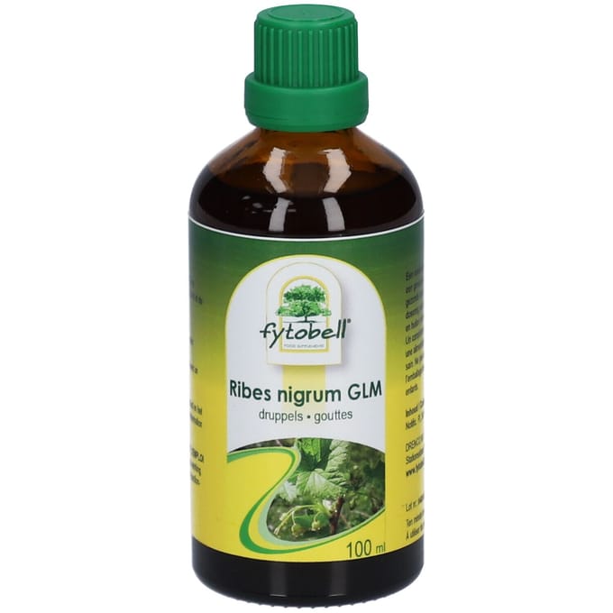 Fytobell Ribes Nigrum GLM 100 Oplossing