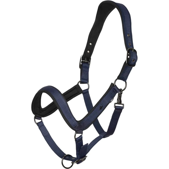 Halster voor paarden HV Polo Essential