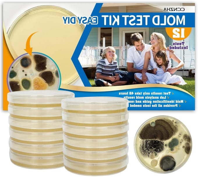 Schimmel Testkit - Binnenlucht Test - Thuis Inspectie - Gratis Lab Analyse - 12 Tests - Zwart