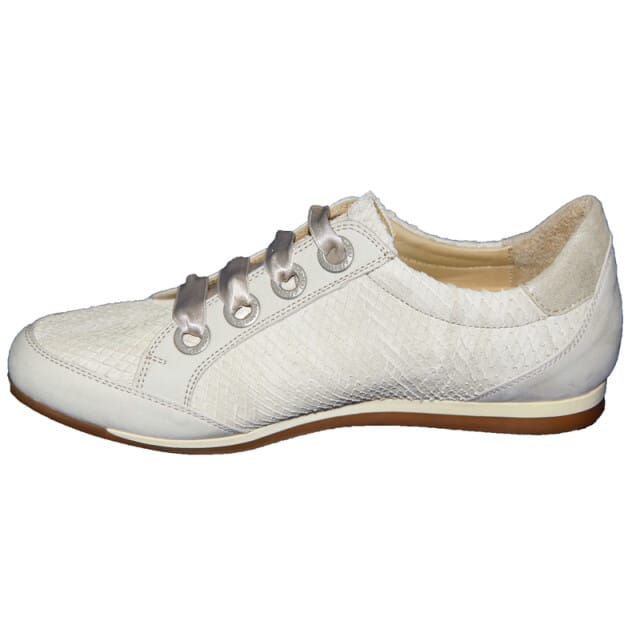 Footnotes 62.006 wijdte g
