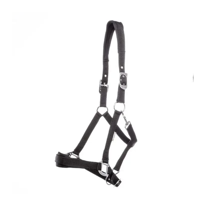 Halster voor paarden Kavalkade Perlon Classic-Simple