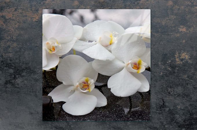 TMK ArtDeko Serie - Snijplank glas - 50x52 cm - Orchidee ontwerp