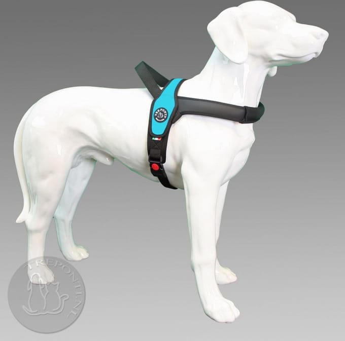Tre Ponti Primo Standaard XL - 30 - 40 kg - Borstomtrek 80 - 100 cm.