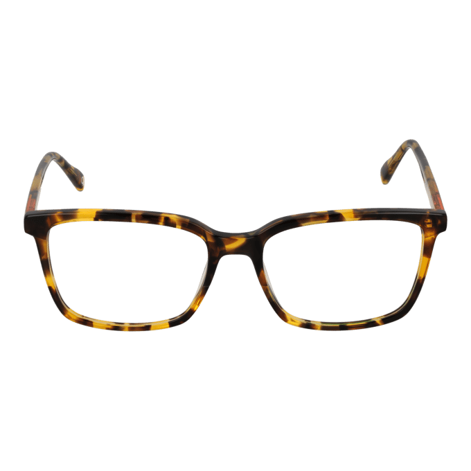 Benetton Optisch montuur BEO109 103 55