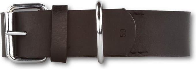 Hondenhalsband Plain Black-Gold 30 cm lang