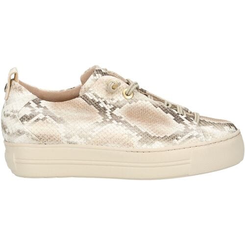 Sneakers kalfsnappaleer Van Paul Green beige