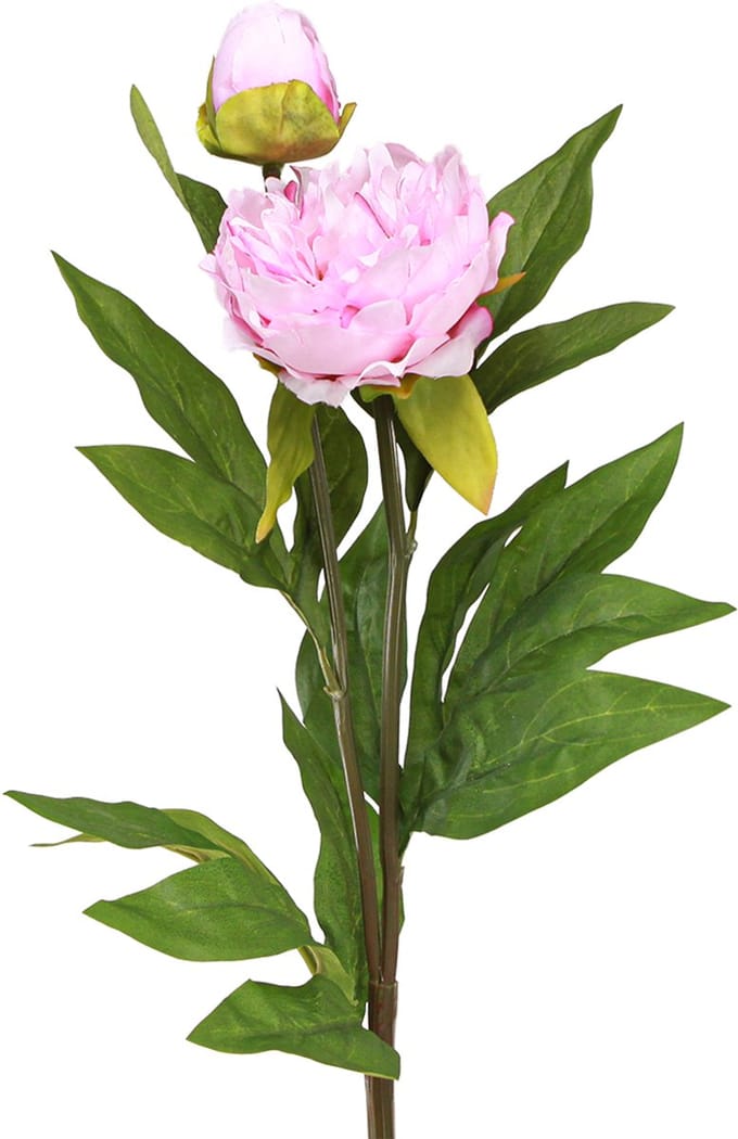 Pioen kunstbloemen roze met lange steel 70cm 3st