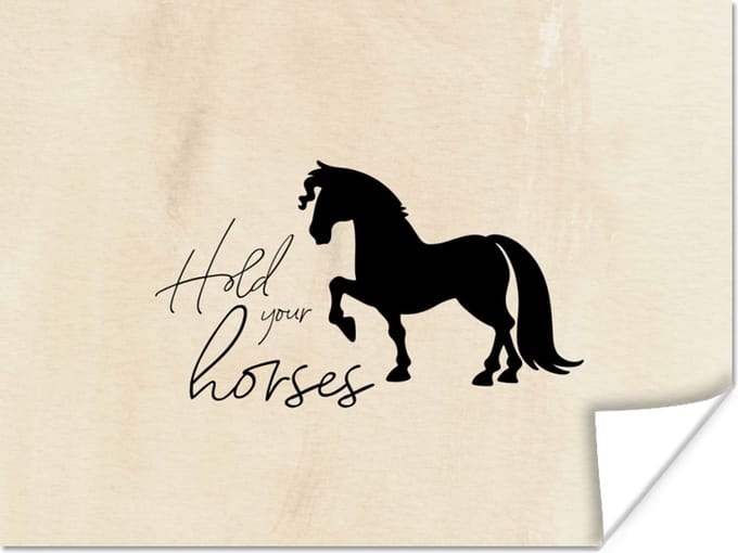 Poster Quotes - Spreuken - Paarden - Hold your horses - 40x30 cm