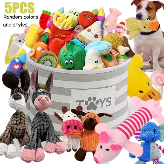 Nivard Honden Speelgoed - Hond - Speelgoed - Dog Toy - Pluche - 5st