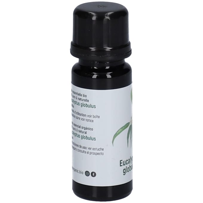 Oak Eucalyptus Globulus Essentiële Olie Bio 10 Etherische olie