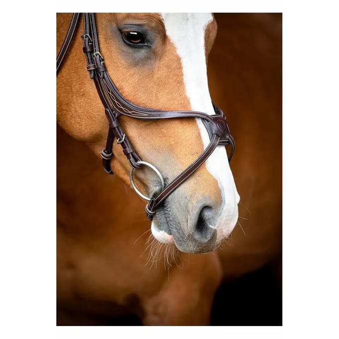 Veganistisch leren hoofdstellen Montar Lyon Fig 8 Jumping ECO