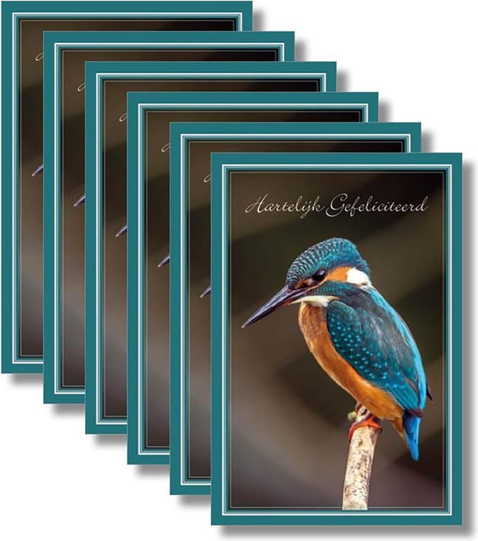6x dubbele wenskaart met envelop - Hartelijk Gefeliciteerd  - 11,5 x 17 cm