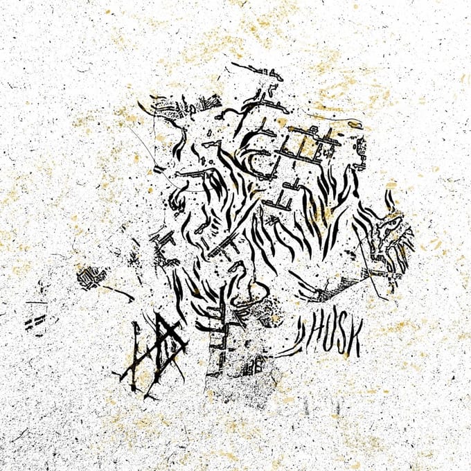 Hope Drone - Husk (LP)