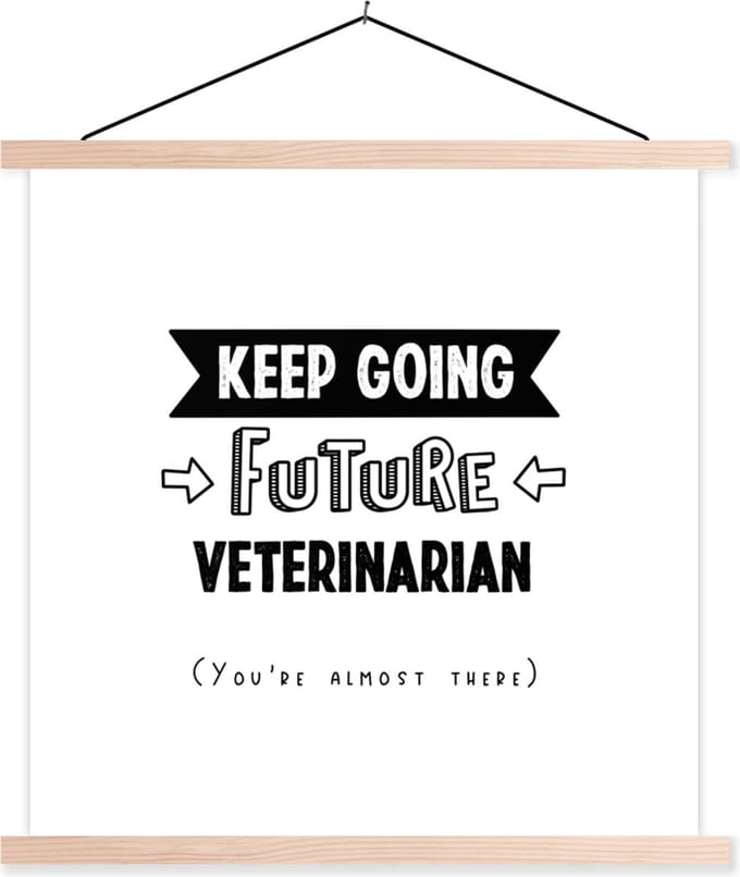 Posterhanger incl. Poster 60x60 cm - Schoolplaat - Quote - Dierenarts - Studeren - Textielposter - Blanke latten