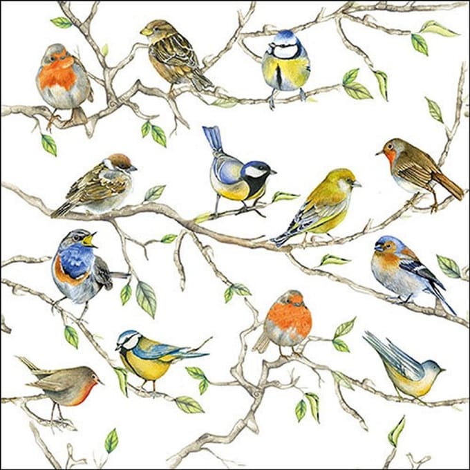 Cocktail servetten Birds Meeting - Ambiente - 25x25 cm