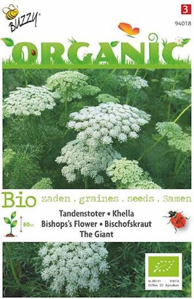 Tandenstoter the Giant Organic Seeds (Bio)