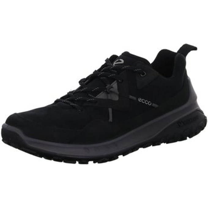 Nette Schoenen Ecco -