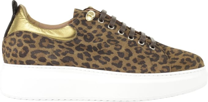 Sinisa leopard sneaker