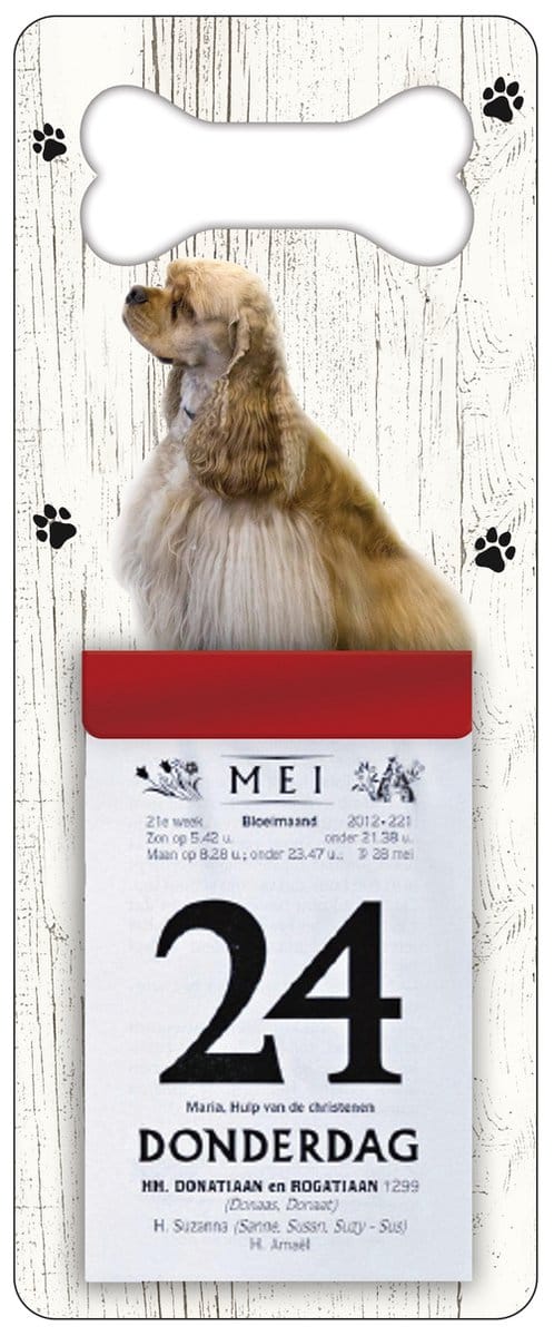 Scheurkalender 2027 Hond: Amerikaanse Cocker Spaniel