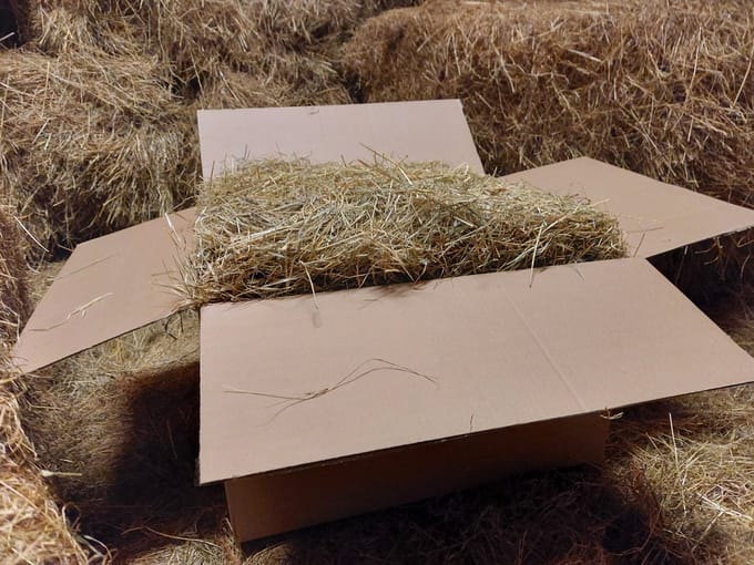 Hooi - Knaagdieren - Konijn - 6 kg