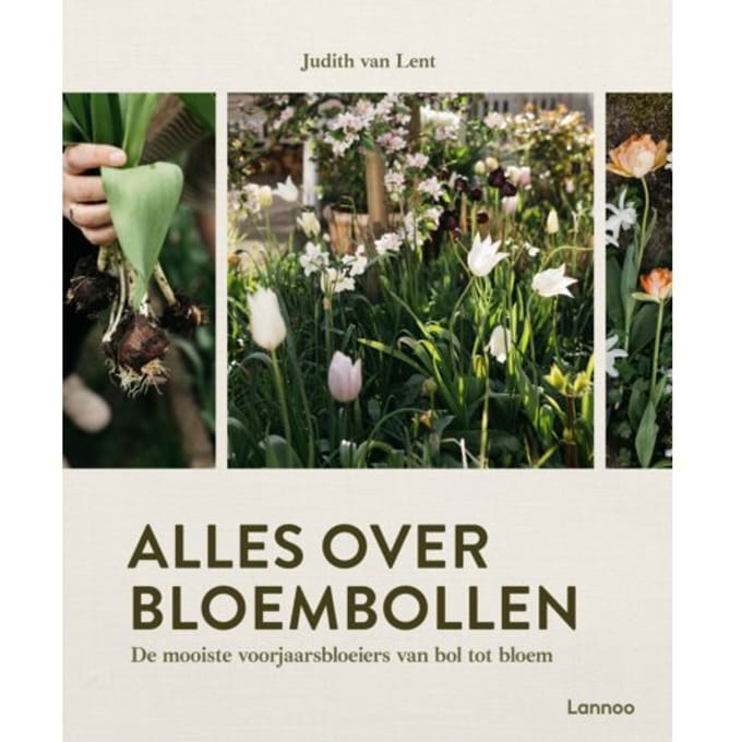 Alles Over Bloembollen - Judith van Lent