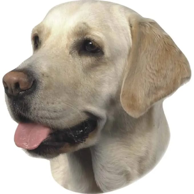 Sticker Nobby Pet Labrador