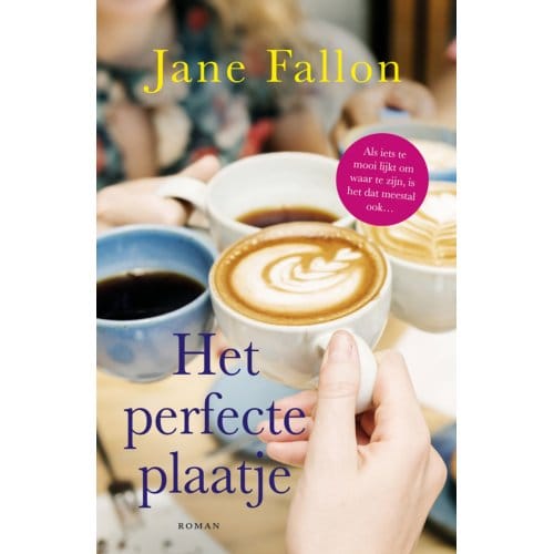 Het Perfecte Plaatje - Jane Fallon