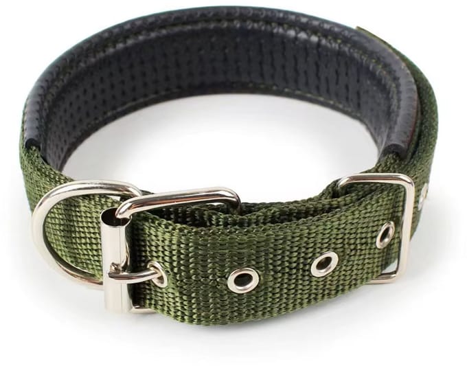 Dierboetiek Verstelbare Nylon Hondenhalsband - Groen - M