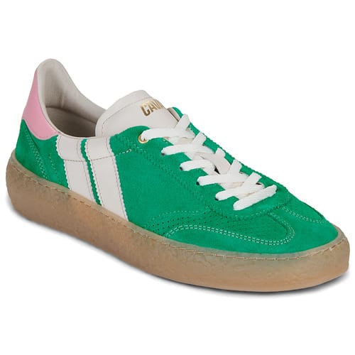 Lage Sneakers Caval HIGH PULSE PINE BLOOM