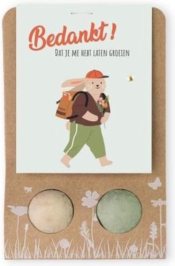 Floz Design bedankje meester - cadeau meester - bloemenmix - klein cadeautje