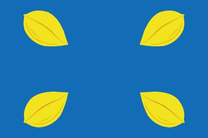 Vlag Hilversum 200x300cm
