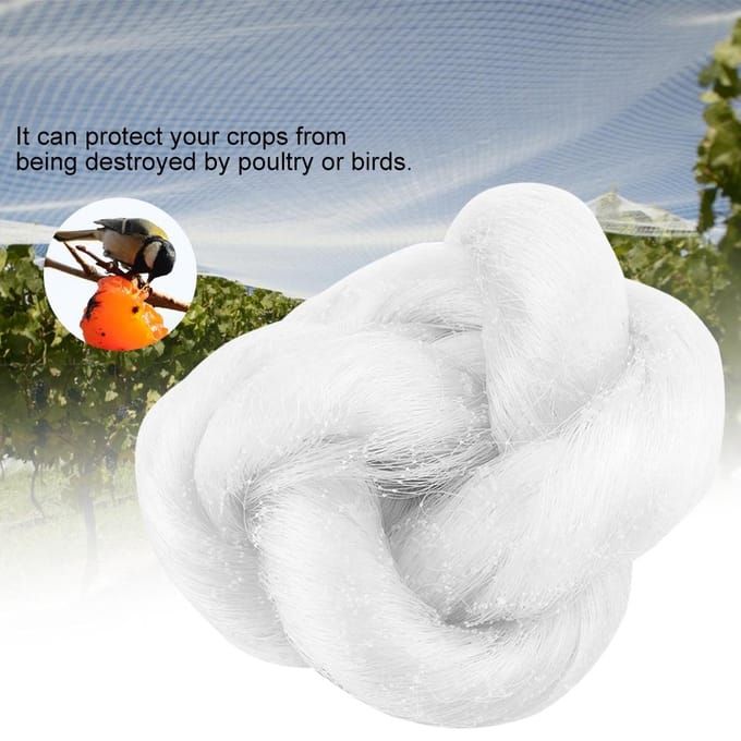 Anti-vogelgaas Tuin Vogelnet Gewassen Fruit Groenten Beschermnet (2*3M) white