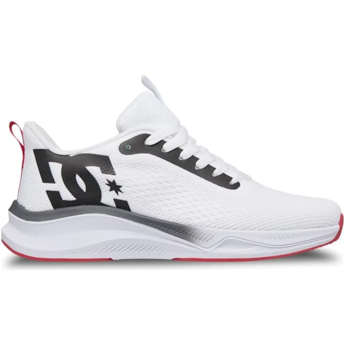 Baskets DC Shoes Roammax