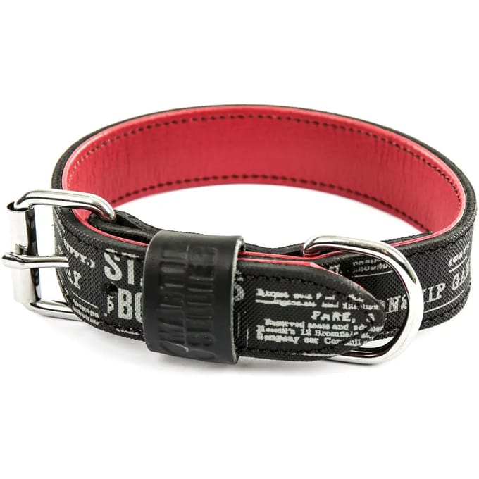 Hondenhalsband Martin Sellier Boston