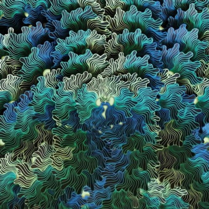 IzangoMa - Ngo Ma (CD)