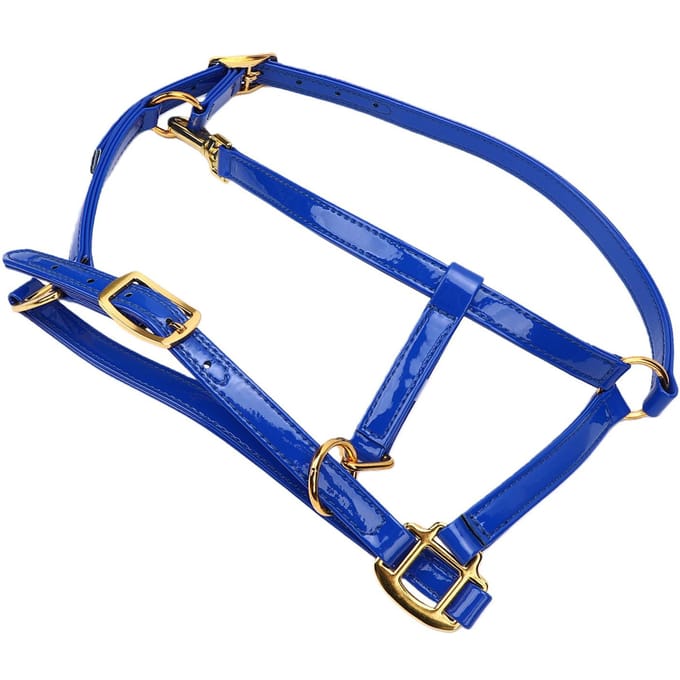 20mm Cuir de Bride de Cheval Double Couche Licol de Cheval Nettoyage Facile Imperméable Bleu blue