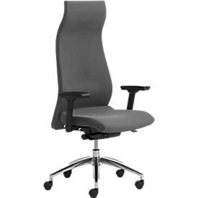 Directiestoel ENERGY, met armleuningen, synchroonmechanisme, CLIMATEX®-bekleding, grijs