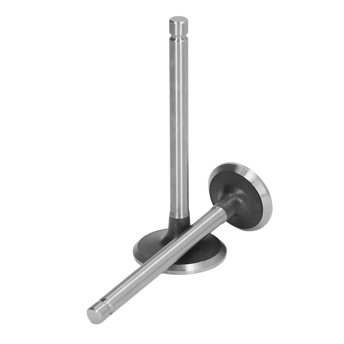 2 STUKS Inlaat Uitlaat Klep Set Legeringsstaal Braamvrij Generator Kleppenset voor Mini Tuinfrees gray