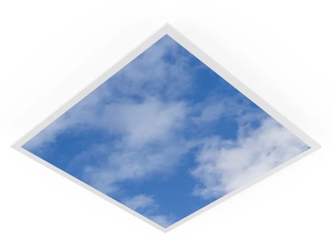 Ledvance LED Paneel 60X60CM | 33W 3630lm 8 | IP40