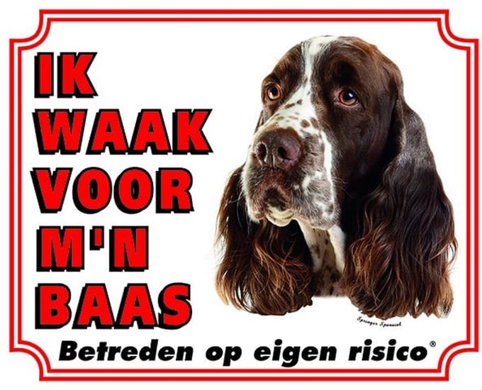 Engelse Springer Spaniel Waakbord - Ik waak voor mijn