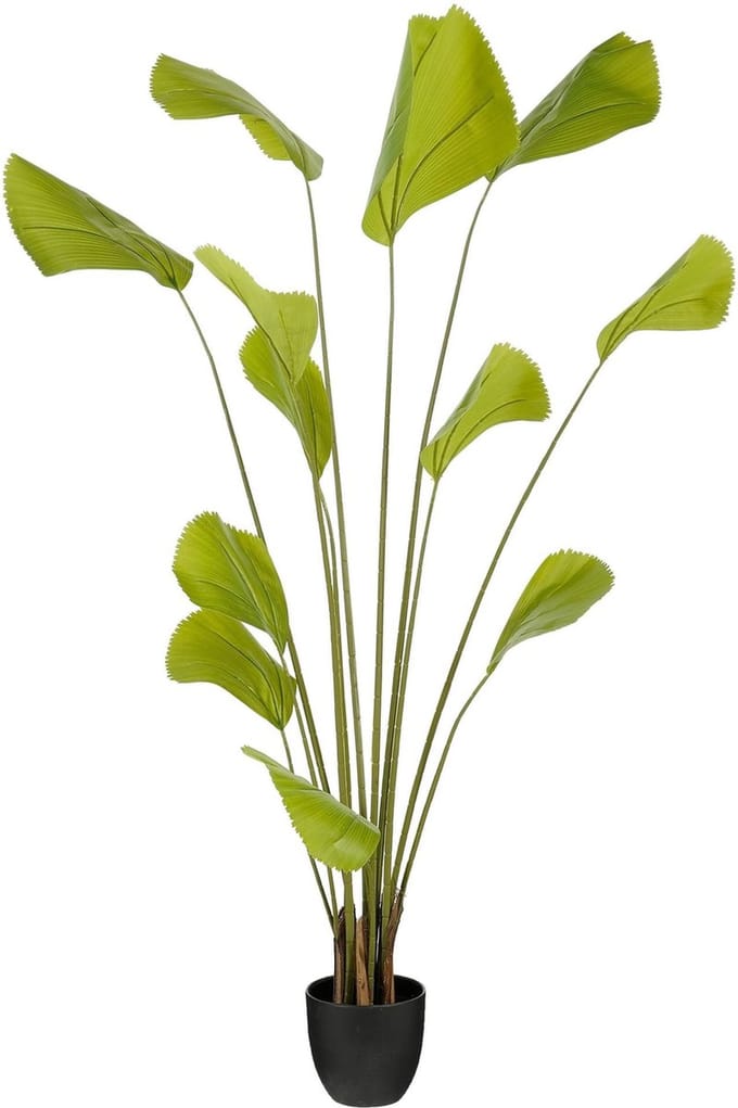 Mica Decorations Kunstplant Palm - 80x80x180 cm - Polyester - Groen